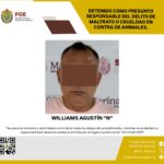 Cero tolerancia al maltrato animal: FGE ejecuta orden de aprehensión contra presunto agresor de un canino en Veracruz